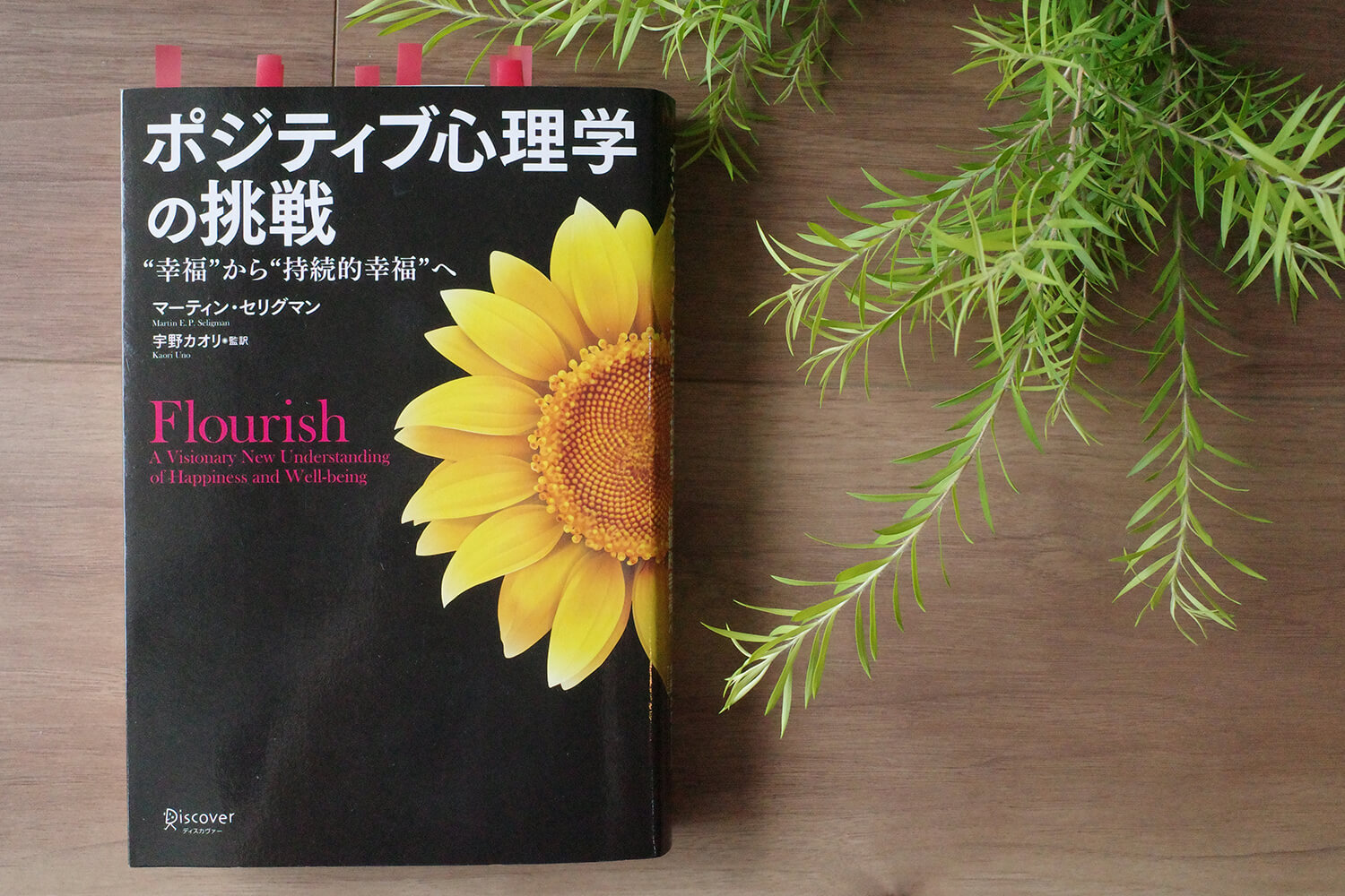 今週の一冊（続・番外編）『ポジティブ心理学の挑戦　～”幸福”から”持続的幸福”へ～』（２）