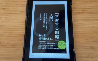 『「学習する組織」入門 ― 自分・チーム・会社が変わる 持続的成長の技術と実践』